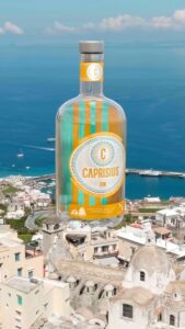 CAPRISIUS GIN CITRUS