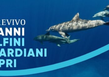 Marevivo: 15 Anni Delfini Guardiani Capri, 27 maggio ore 10, Certosa di San Giacomo