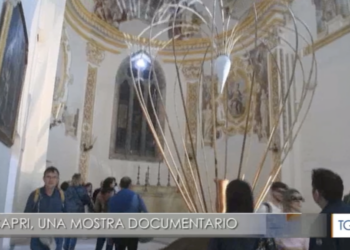 TGR: Capri, una Mostra Documentario (Video)