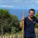 A Capri si produrrà anche il vino bianco: l’annuncio di Celentano Agricola