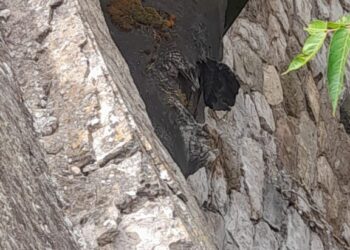 Comunicato Stampa Gori – Castellammare di Stabia – Guasto alla condotta adduttrice a servizio della Penisola Sorrentina e dell’isola di Capri