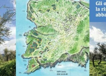 Capri: “Gli olivi secolari. La riscoperta di un tesoro abbandonato” convegno con gli esperti del Cnr