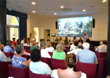 Anacapri: Grande partecipazione ed interesse al convegno de L’Oro di Capri con i ricercatori del CNR sugli ulivi secolari dell’isola