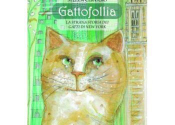 La Gattofollia arriva anche a Capri