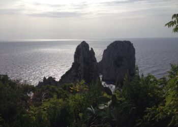 “Video sorveglianza per i Faraglioni a Capri patrimonio Unesco”