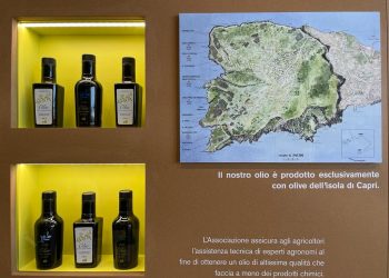 L’Oro di Capri al Salone del Gusto Slow Food di Torino Appuntamento con ‘Terra Madre’ dal 26 al 30 settembre