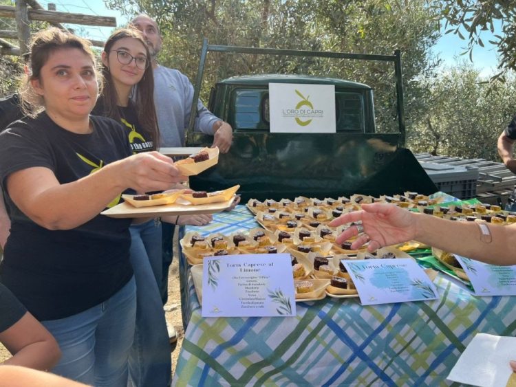 Ad Anacapri con L’Oro di Capri, l’ottava giornata nazionale Camminata tra gli olivi