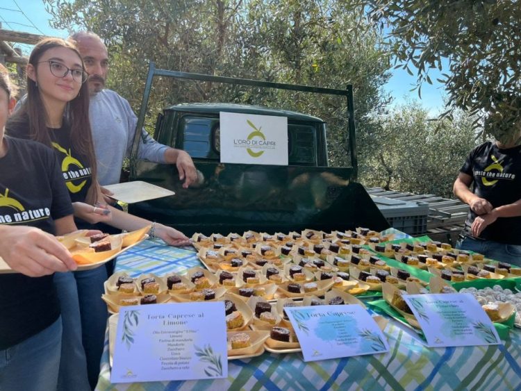 Ad Anacapri con L’Oro di Capri, l’ottava giornata nazionale Camminata tra gli olivi