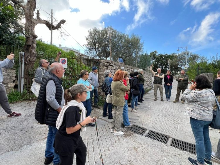 Ad Anacapri con L’Oro di Capri, l’ottava giornata nazionale Camminata tra gli olivi