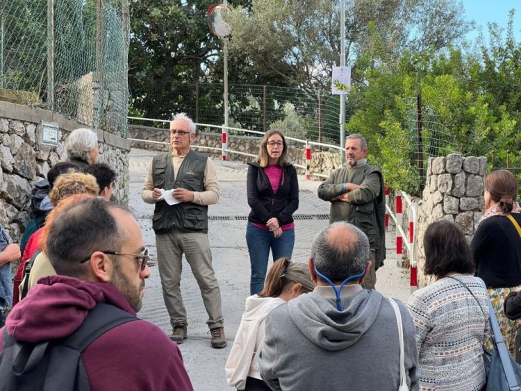 Ad Anacapri con L’Oro di Capri, l’ottava giornata nazionale Camminata tra gli olivi