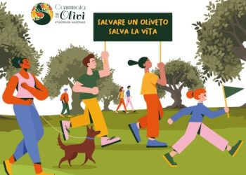 Anacapri: CAMMINATA TRA GLI OLIVI, 27 Ottobre ( Programma Completo)