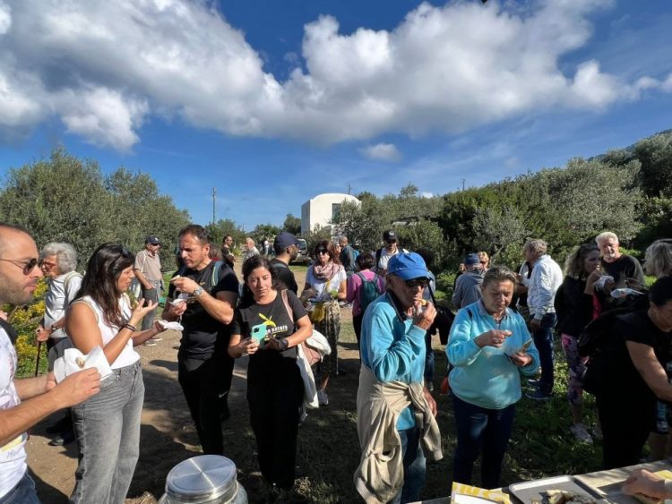 Ad Anacapri con L’Oro di Capri, l’ottava giornata nazionale Camminata tra gli olivi