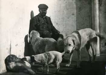 CAPRI, A VILLA SAN MICHELE SI INAUGURA LA MOSTRA DI SANDRO CHIA IN OMAGGIO AD AXEL MUNTHE/ GIOVEDì 31 OTTOBRE ORE 18