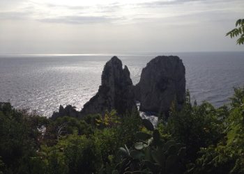 Asso charter Capri: mare pulito e sicuro