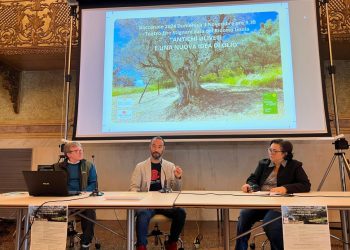 L’Oro di Capri ad Imola, ospite del convegno nella rassegna Baccanale: “Antichi uliveti e una nuova idea di olio”