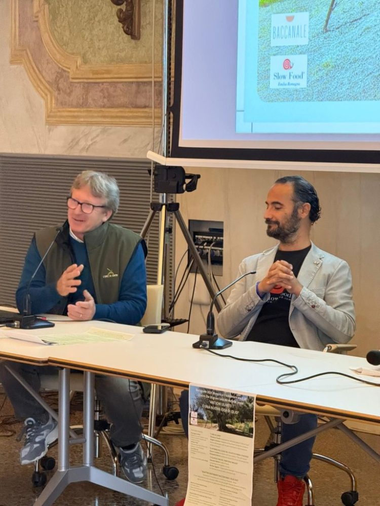 L’Oro di Capri ad Imola, ospite del convegno nella rassegna Baccanale: “Antichi uliveti e una nuova idea di olio”
