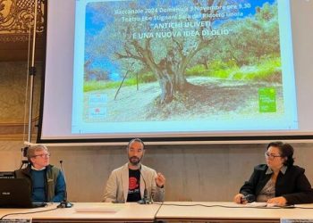 La rassegna “Antichi uliveti e una nuova idea di olio”: l’oro di Capri arriva ad Imola