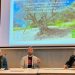 La rassegna “Antichi uliveti e una nuova idea di olio”: l’oro di Capri arriva ad Imola
