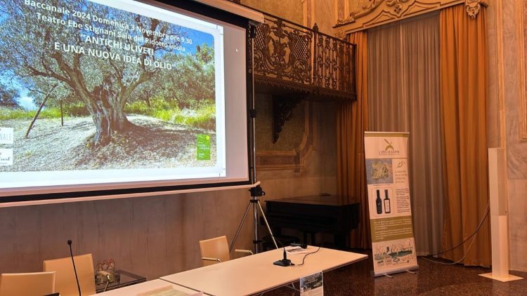 L’Oro di Capri ad Imola, ospite del convegno nella rassegna Baccanale: “Antichi uliveti e una nuova idea di olio”