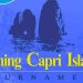 Domani a Capri la nona edizione del Trofeo Fishing Capri Island Tournament