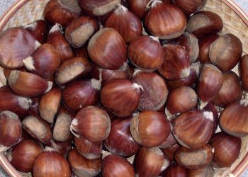 Giornata della castagna per spegnere le prime Cento Candeline del mercato della terra