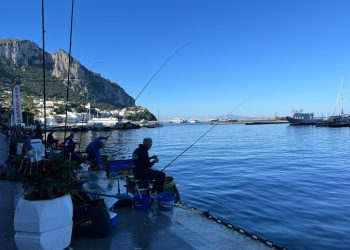 Weekend con gara di pesca nel Porto turistico di Capri