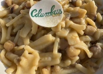 A Imola “quattro ristoranti raccontano l’olio evo”