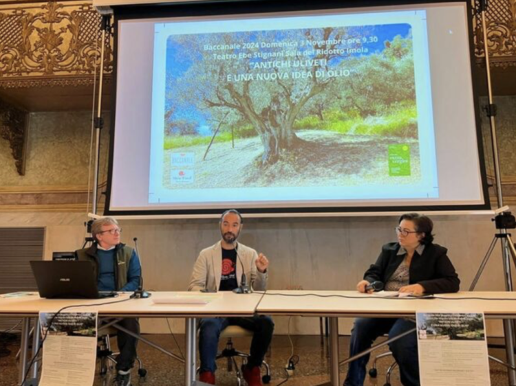 La rassegna “Antichi uliveti e una nuova idea di olio”: l’oro di Capri arriva ad Imola
