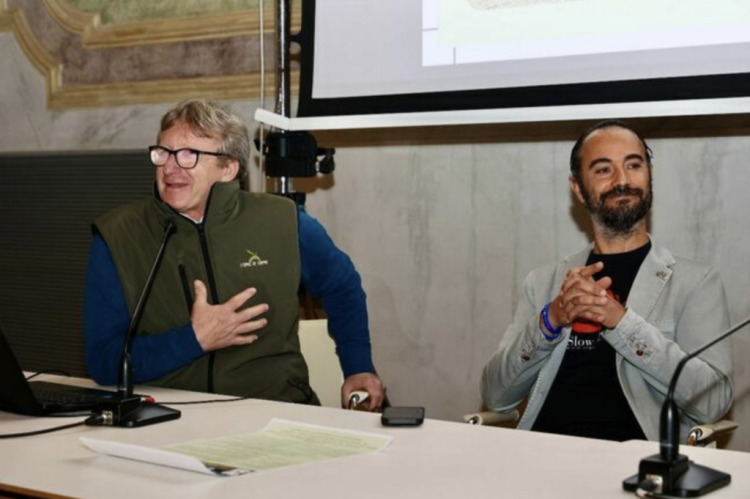 La rassegna “Antichi uliveti e una nuova idea di olio”: l’oro di Capri arriva ad Imola