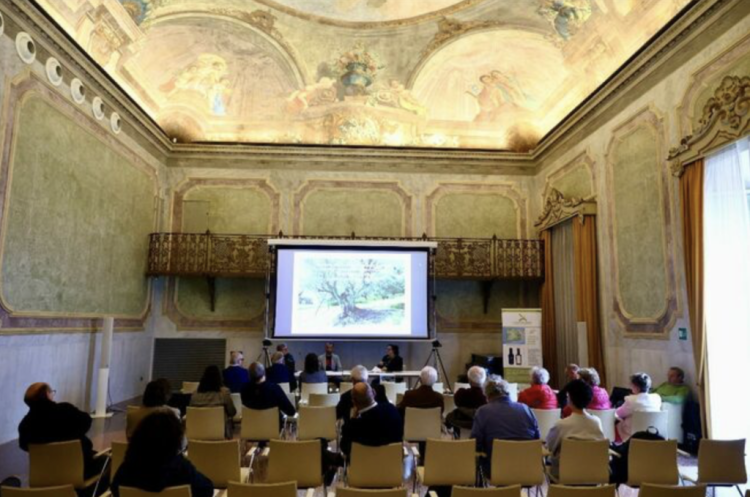 La rassegna “Antichi uliveti e una nuova idea di olio”: l’oro di Capri arriva ad Imola