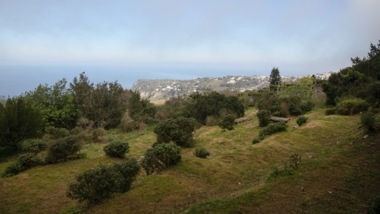 Anacapri, il Parco Filosofico della Migliera sbarca sui social (Photogallery)