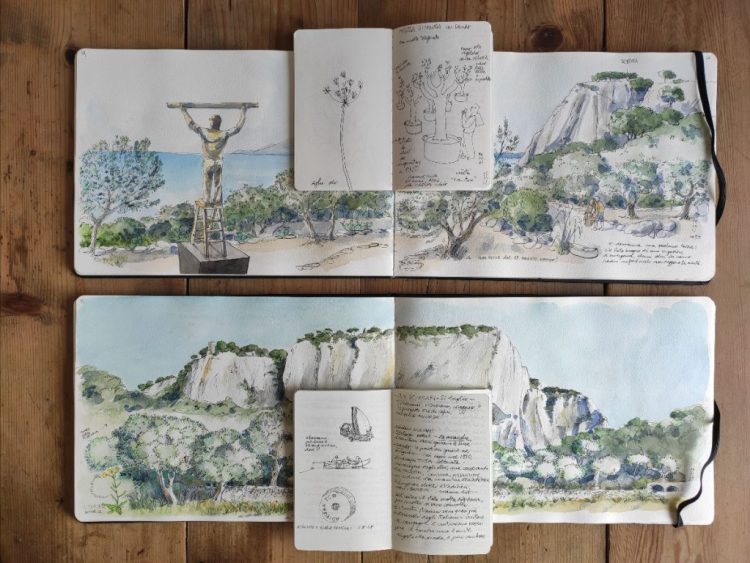 Presentazione del libro: GLI OLIVI DI CAPRI. UNA STORIA DI AGRICOLTURA EROICA scritta e disegnata da Simonetta Capecchi – Electa, Milano, 2024