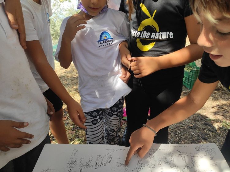 Presentazione del libro: GLI OLIVI DI CAPRI. UNA STORIA DI AGRICOLTURA EROICA scritta e disegnata da Simonetta Capecchi – Electa, Milano, 2024