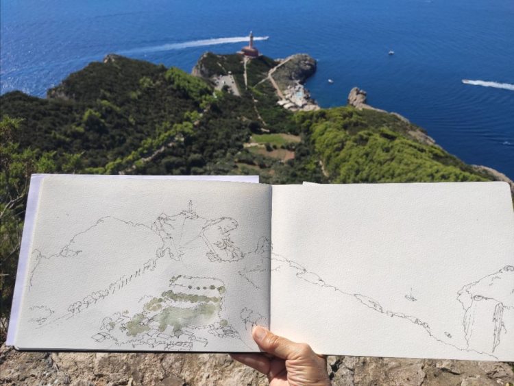 Presentazione del libro: GLI OLIVI DI CAPRI. UNA STORIA DI AGRICOLTURA EROICA scritta e disegnata da Simonetta Capecchi – Electa, Milano, 2024