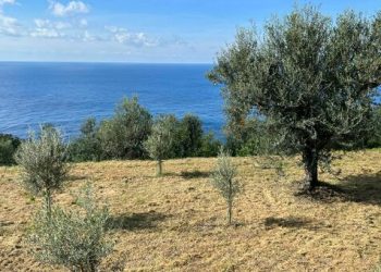 Capri, tra agricoltura e turismo sostenibile