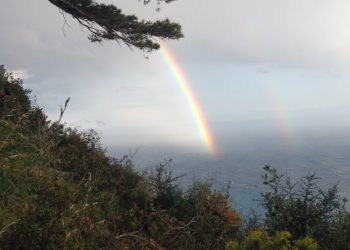 Il Consiglio Comunale delibera: Adotta un sentiero di Capri: regolamento per la gestione