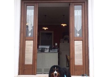 “La Crema di Berenice”, una romantica storia di una gelateria monogusto