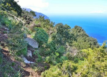 “Facciamo vivere i sentieri” di Capri