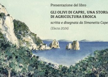 L’Oro di Capri a Roma per la presentazione del libro: Gli olivi di Capri, una storia di agricoltura eroica a cura di Simonetta Capecchi (Electa 2024)