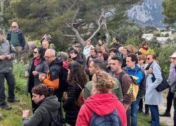 Capri Spring Festival: tra antichi sapori e storici sentieri (Gallery)