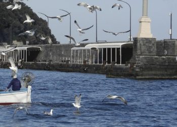 ​Capri, l’antico borgo di Marina Grande in mostra nelle sale della Fondazione Messanelli (Gallery)