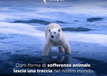 Animali, nasce la Giornata nazionale per la Prevenzione Veterinaria