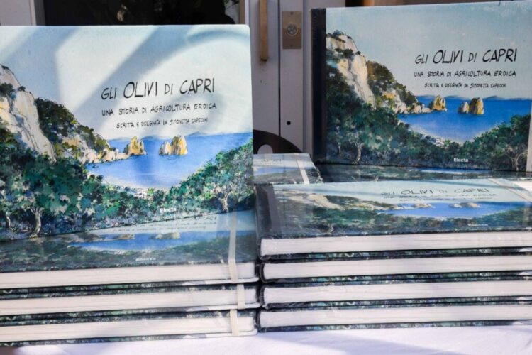 “Gli olivi di Capri” ad Anacapri al centro del dibattito dell’associazione: paesaggio, natura e turismo sostenibile