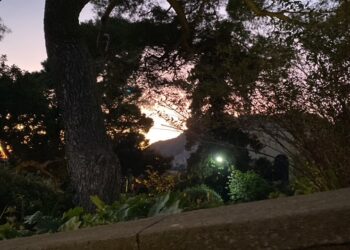 A Capri niente focarazzi, attenzione all’ambiente ed alla protezione del mare