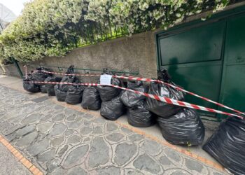 21 SACCHI DI POTATURA ABBANDONATI IN STRADA, INDIVIDUATO E SANZIONATO IL RESPONSABILE