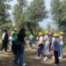 Da Boscoreale ad Anacapri a scuola di uliveti (Gallery)