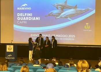 Marevivo, a Capri il video con il verso dei delfini nel mare