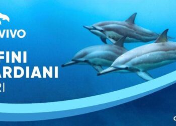 Marevivo: Cerimonia finale del progetto “Delfini Guardiani”, 23 MAGGIO 2025 | ORE 10 CINEMA AUDITORIUM PALAZZO DEI CONGRESSI