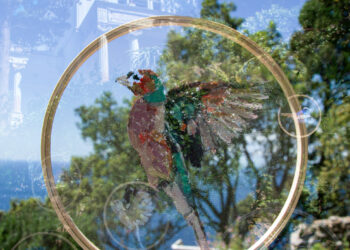 Grande successo per l’inaugurazione della mostra “Idilli di Capri – Studi fotografici 1885–1890” di James Winthrop Holcombe Museo Villa Rosa, Anacapri – 27 maggio 2025