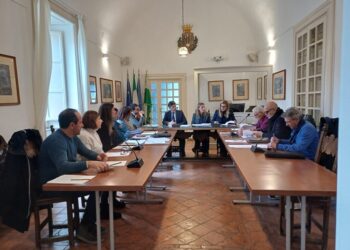 In consiglio comunale a Capri alloggi comunali e posti barca